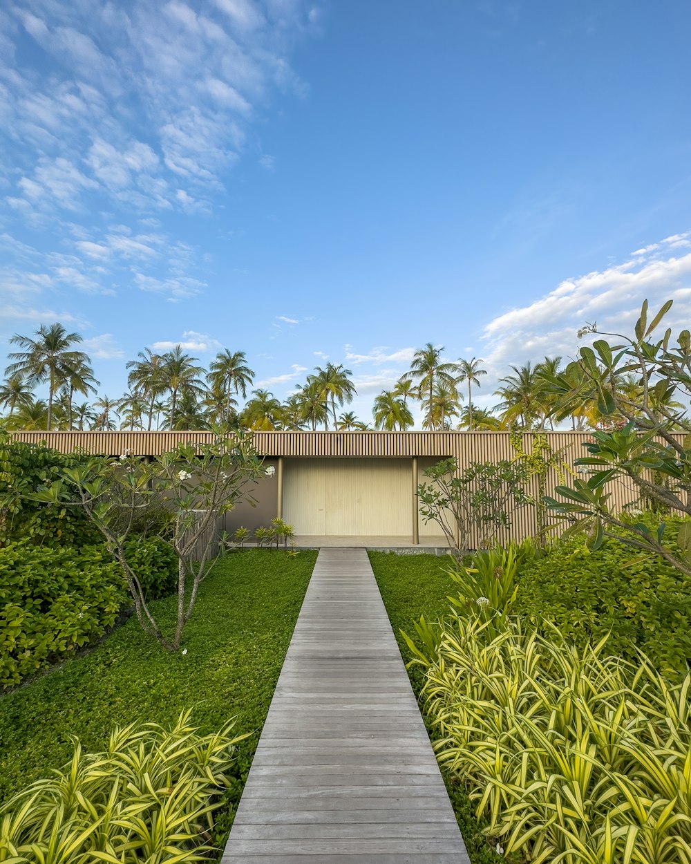 a walkway leading to a house surrounded by palm trees