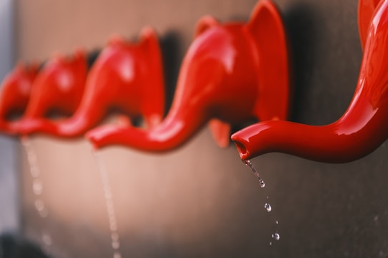 A series of red elephant-shaped faucets are mounted on a wall, with water droplets hanging from the spouts. The focus is on the nearest faucet, with the others slightly blurred in the background.