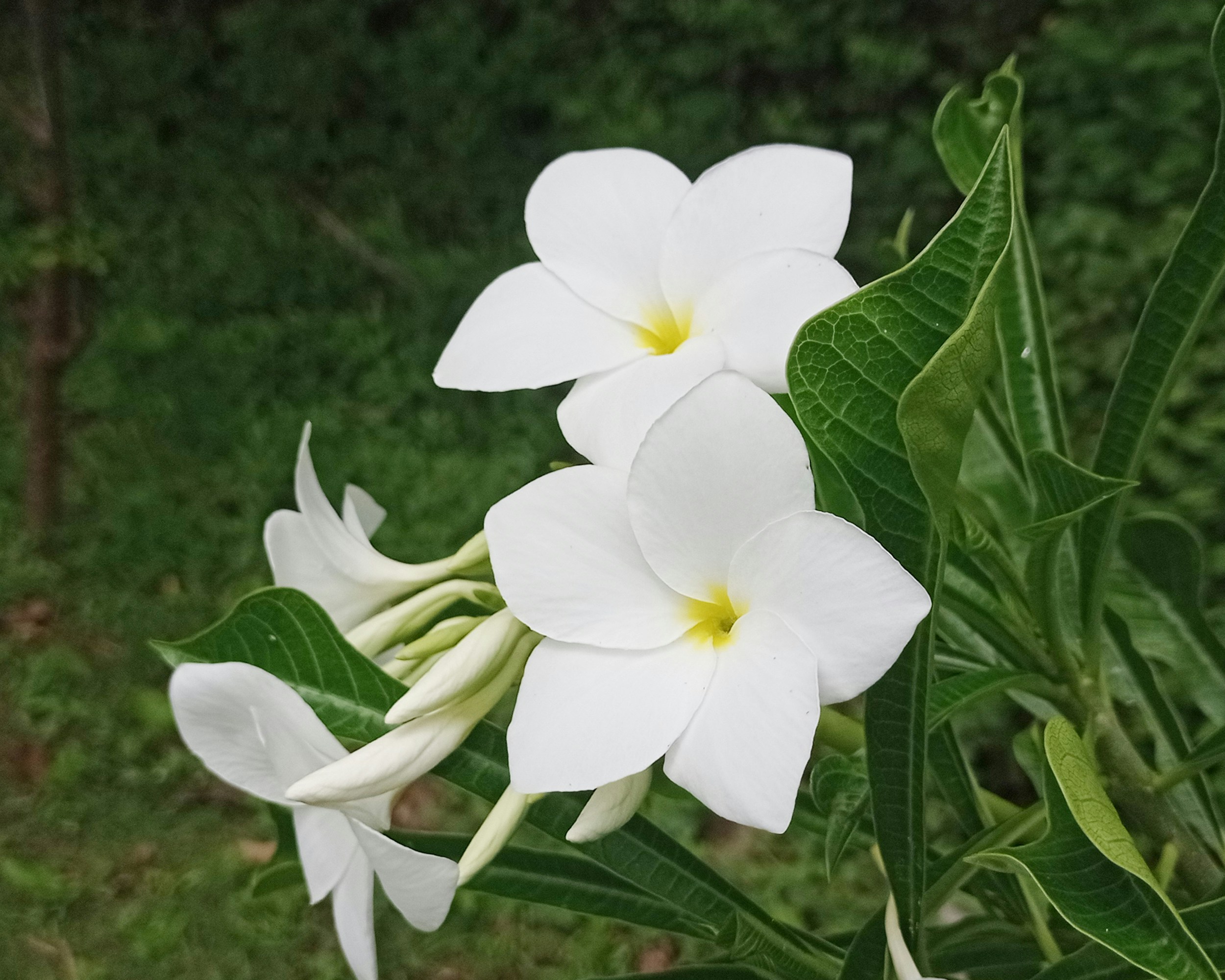 Photo by arkan_maker