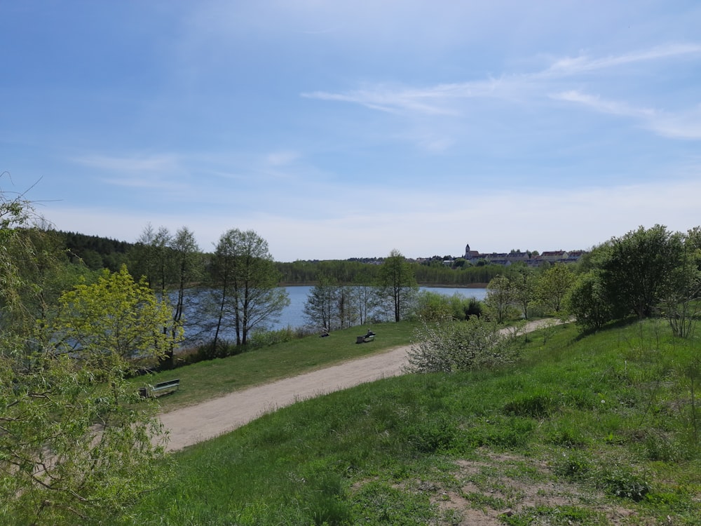 a grassy area next to a body of water