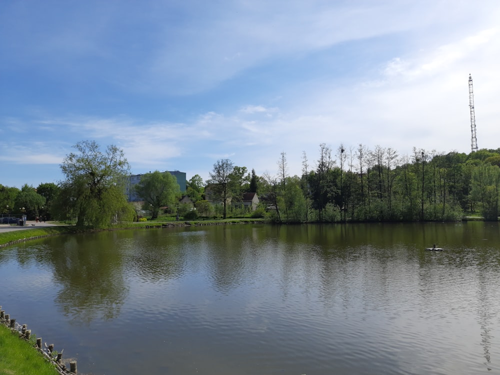 a large body of water surrounded by trees