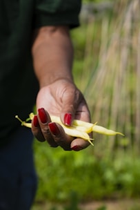a person holding a piece of fruit in their hand