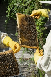 a couple of people that are holding a beehive