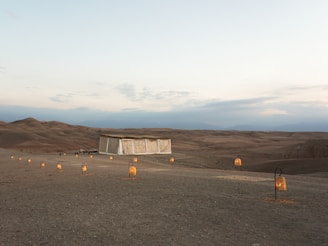 A serene desert landscape at dawn with soft golden light illuminating minimalist wellness products arranged on natural stone.