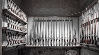 A room displaying a collection of rifles neatly arranged on walls and shelves. The interior is dimly lit, highlighting the metallic barrels and wooden stocks of the firearms.