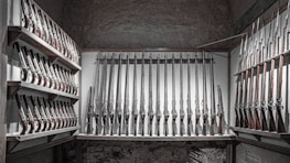 Rows of handguns and rifles displayed neatly on wall racks inside a cozy gun shop.