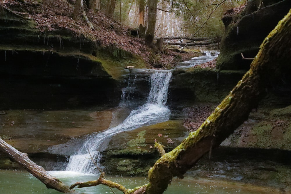 a small waterfall in the middle of a forest