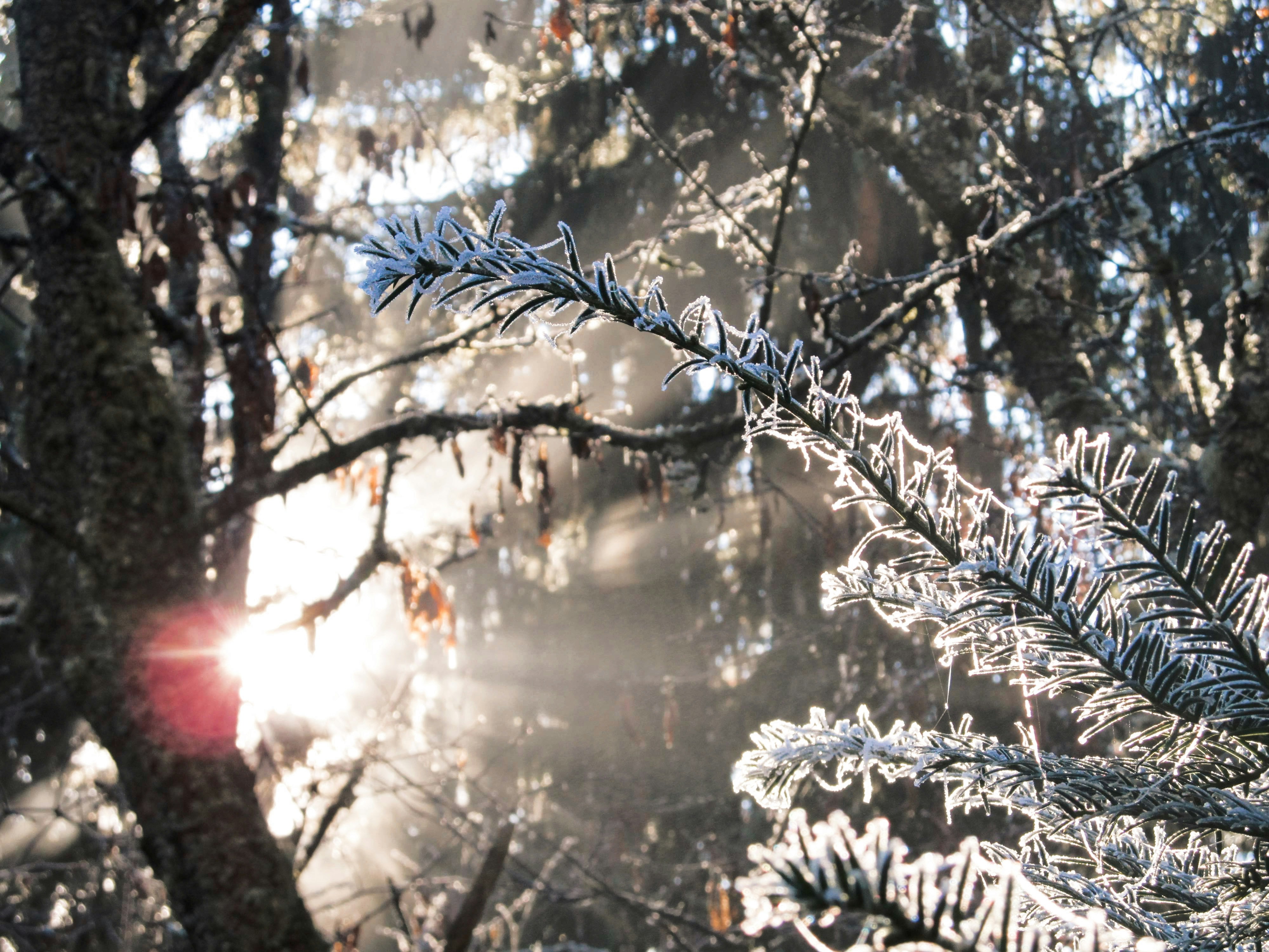 Photo by angelikaberger