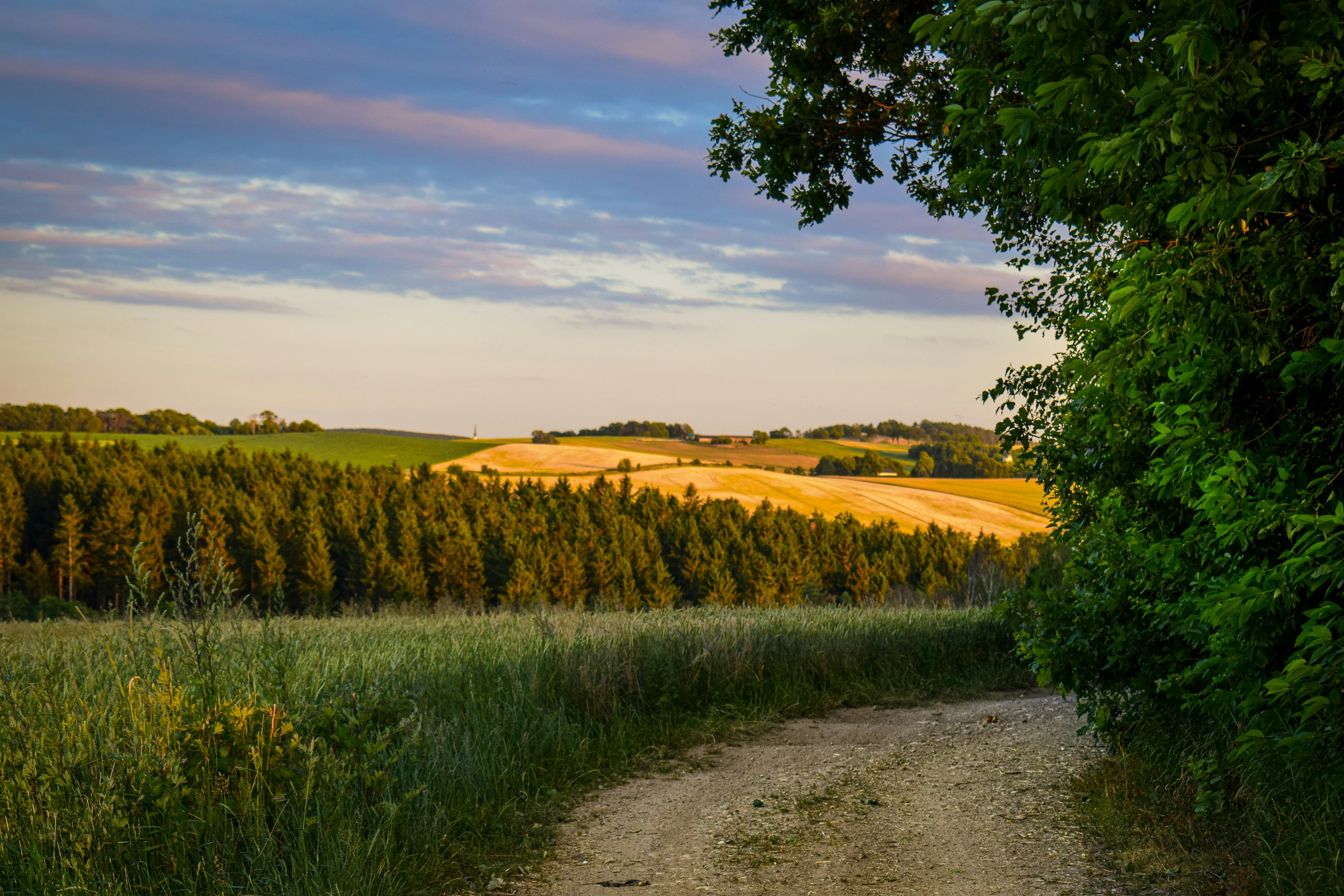 Photo by justmysnapshots