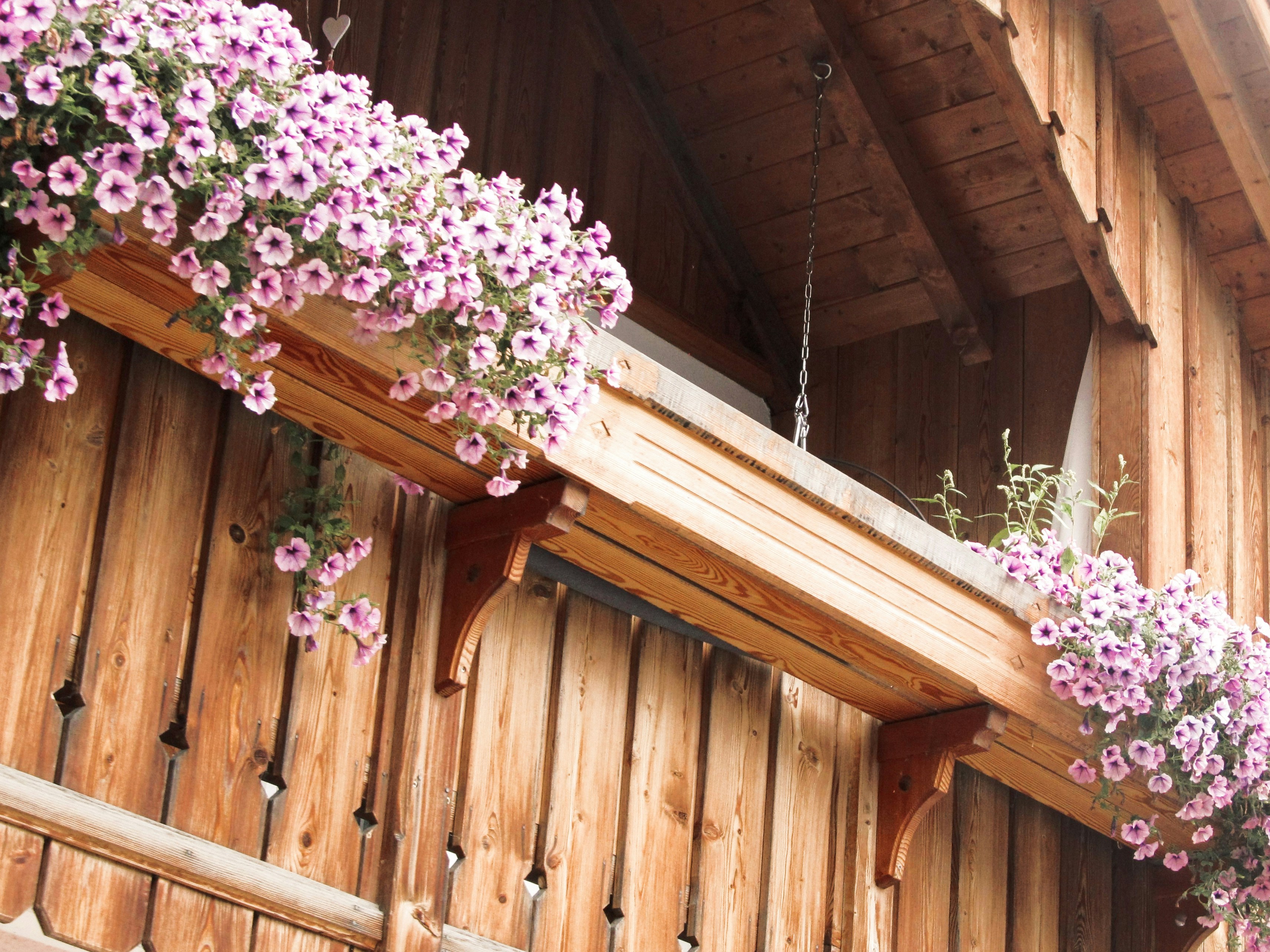 Photo by angelikaberger