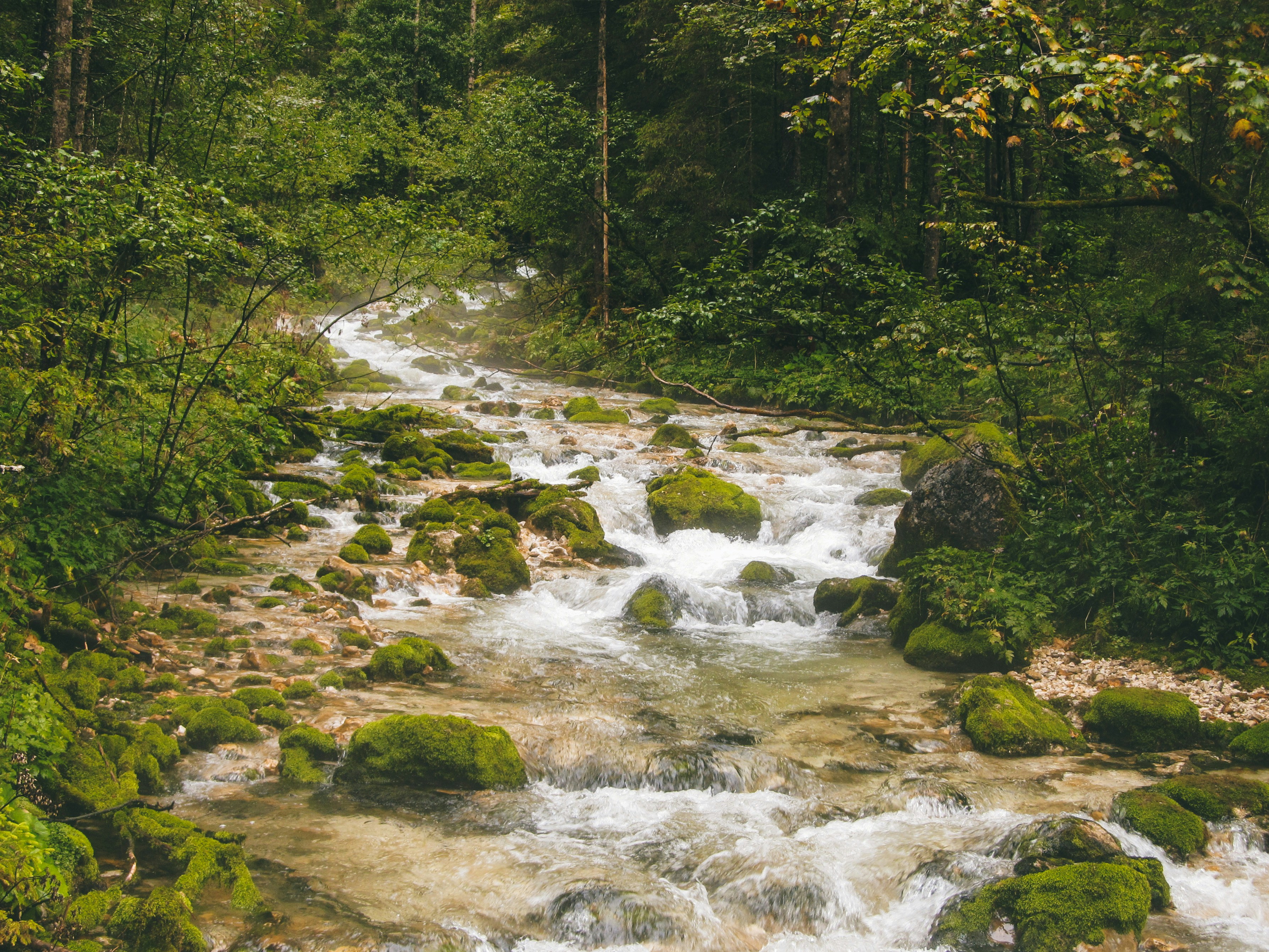 Photo by angelikaberger