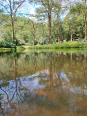 Calm lake reflecting trees and sky in a park.