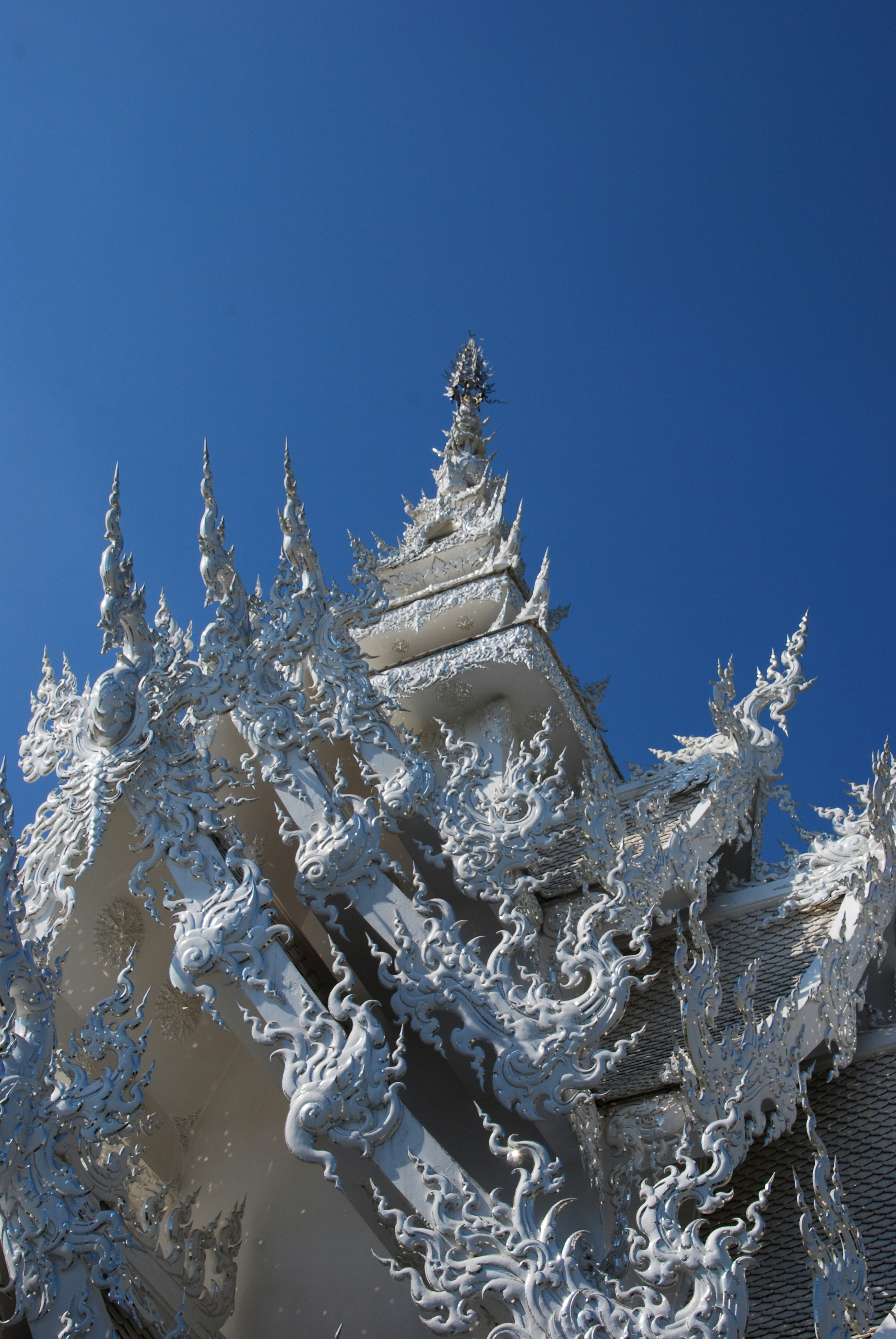 Photo by froggyalchemist