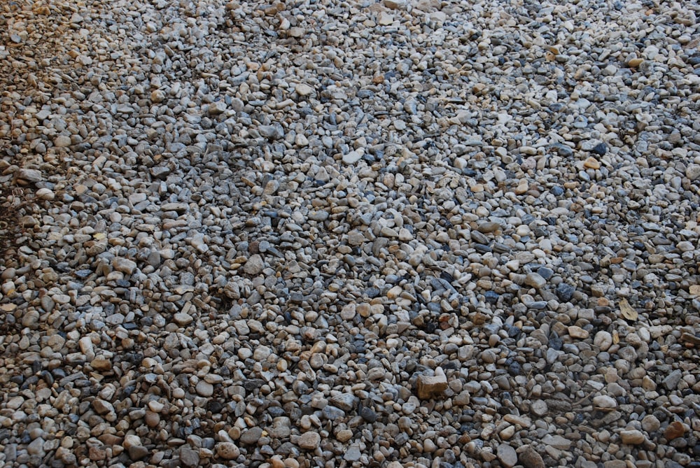 a bunch of rocks that are laying on the ground