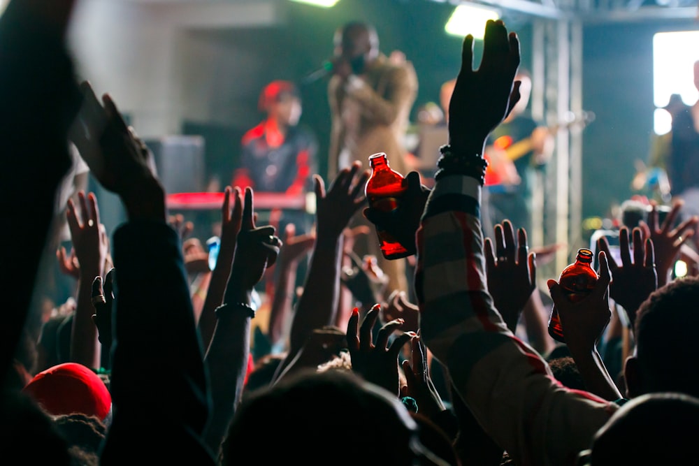 a crowd of people at a concert with their hands in the air