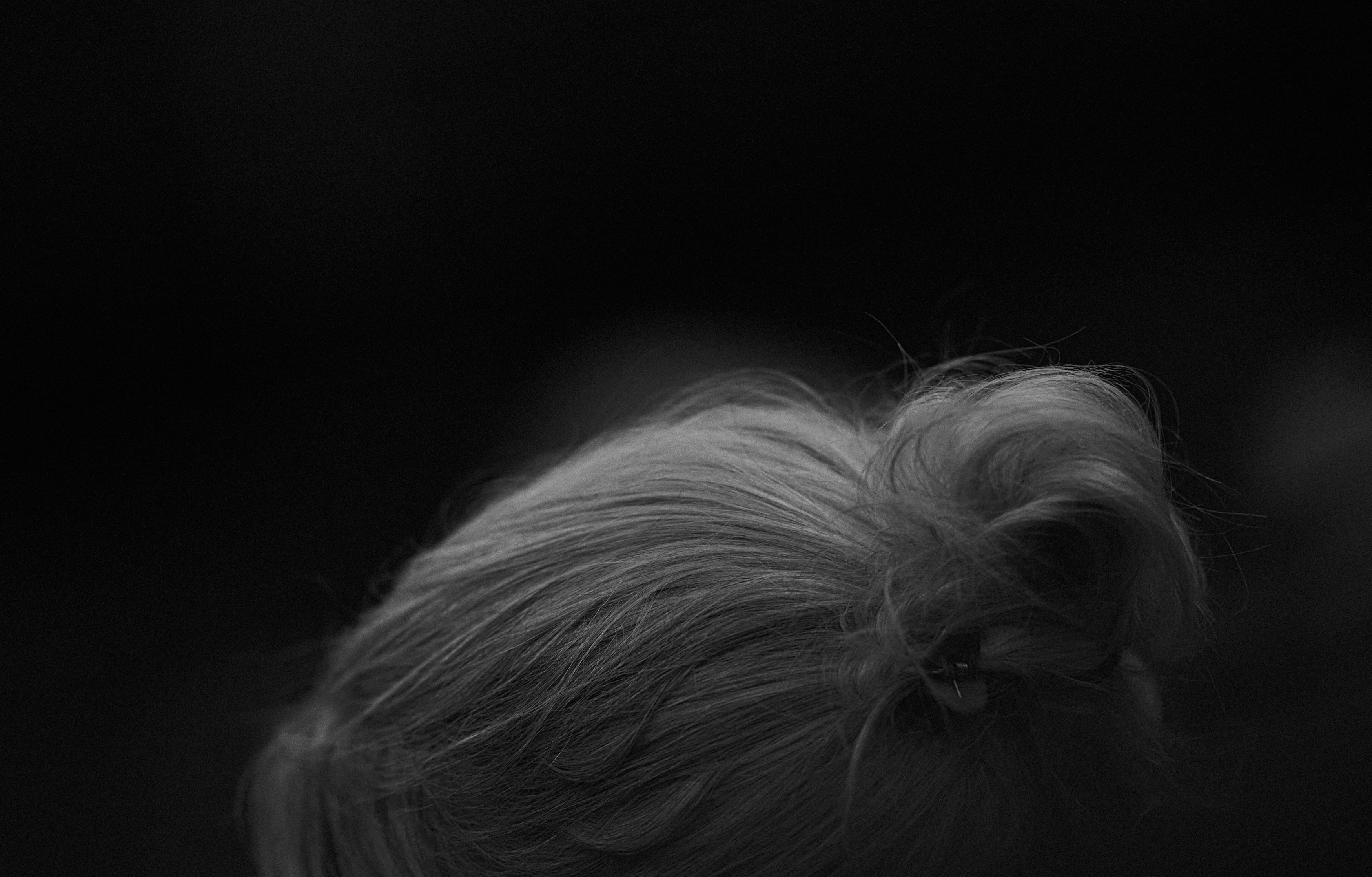 a black and white photo of a woman's hair