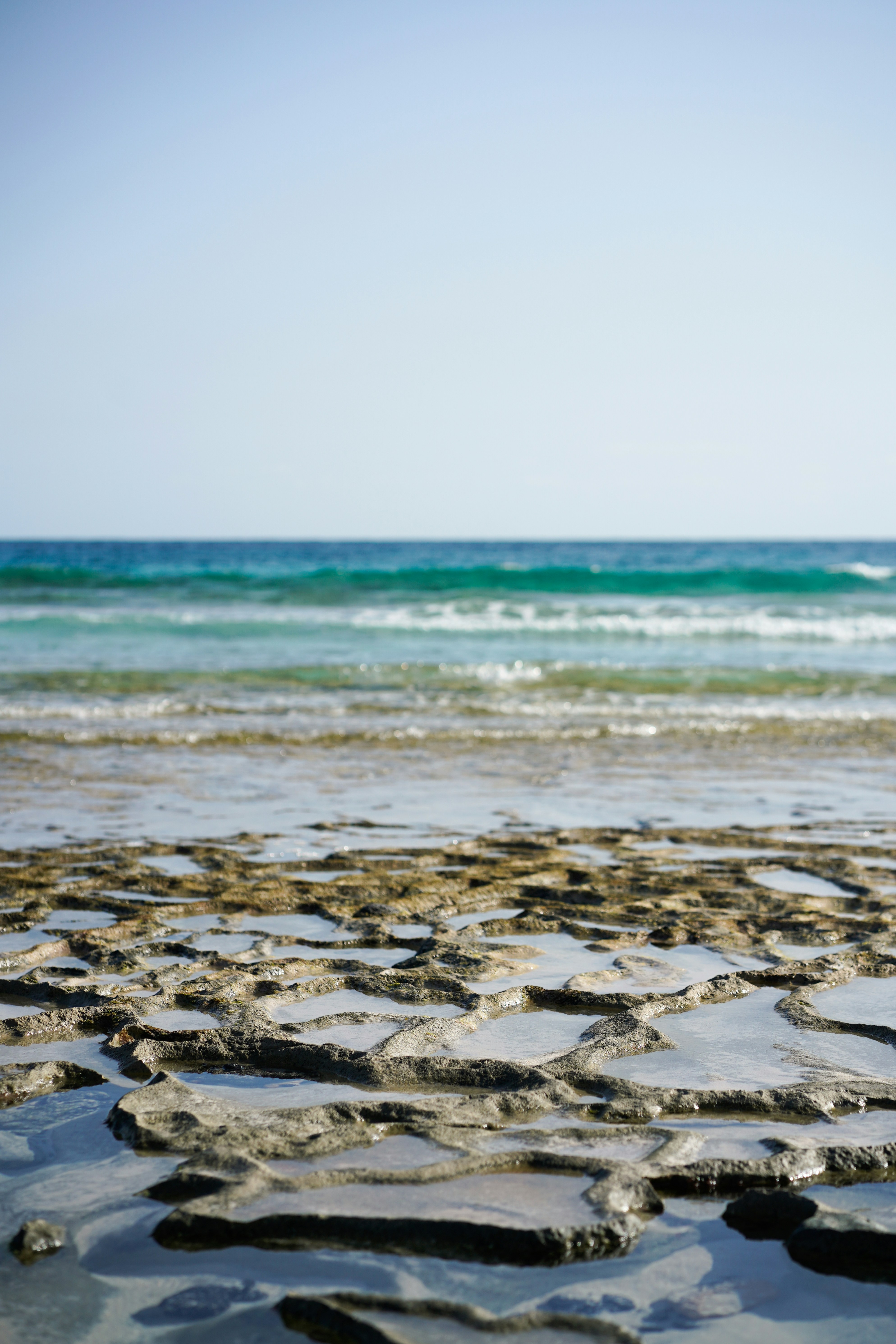 Photo by lorezingaraw