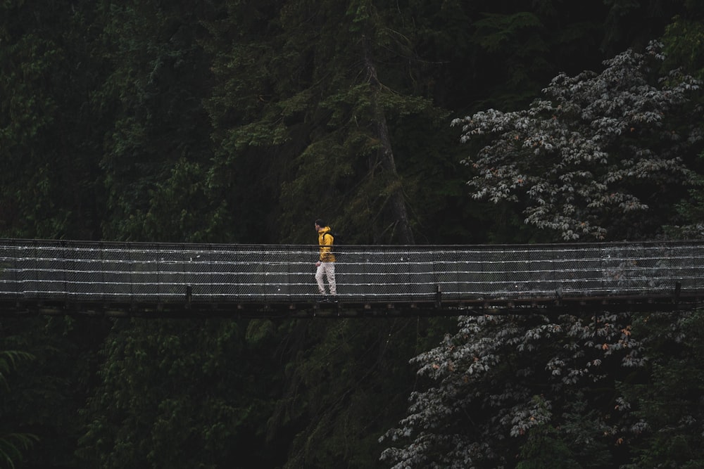 a person standing on a bridge in the middle of a forest