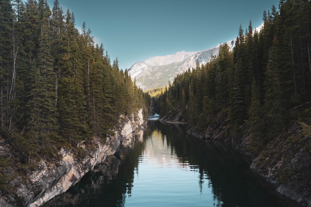 a body of water surrounded by trees and mountains