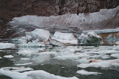 Chunks of ice floating in a cold, still body of water, with a rocky, snow-sprinkled shoreline in the background. The scene evokes a sense of untouched wilderness and harsh natural beauty, with sheet ice and bergs partially submerged, reflecting in the water.