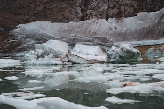 Chunks of ice floating in a cold, still body of water, with a rocky, snow-sprinkled shoreline in the background. The scene evokes a sense of untouched wilderness and harsh natural beauty, with sheet ice and bergs partially submerged, reflecting in the water.