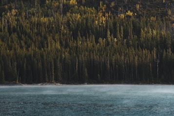 A tranquil lake sits at the forefront, with a dense forest of tall trees in the background, their tops slightly illuminated by sunlight. A misty layer hovers over the water, adding to the serene ambiance.