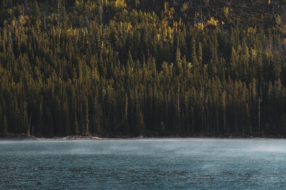 A tranquil lake sits at the forefront, with a dense forest of tall trees in the background, their tops slightly illuminated by sunlight. A misty layer hovers over the water, adding to the serene ambiance.