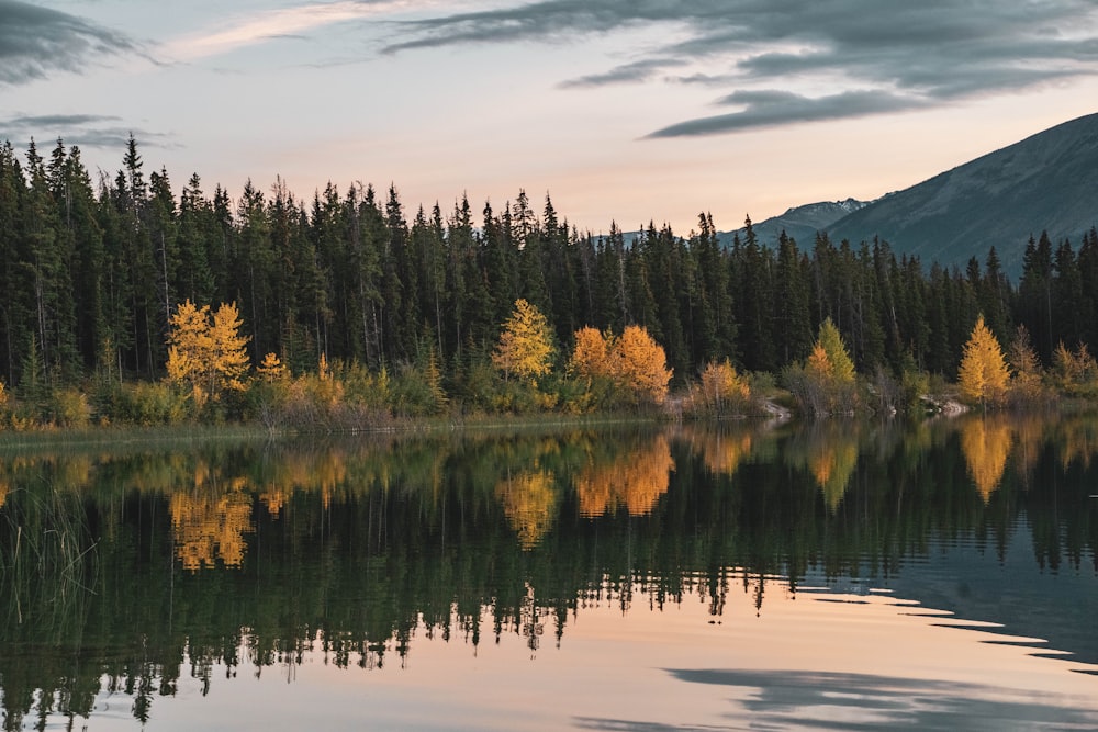 a body of water surrounded by trees with a mountain in the background