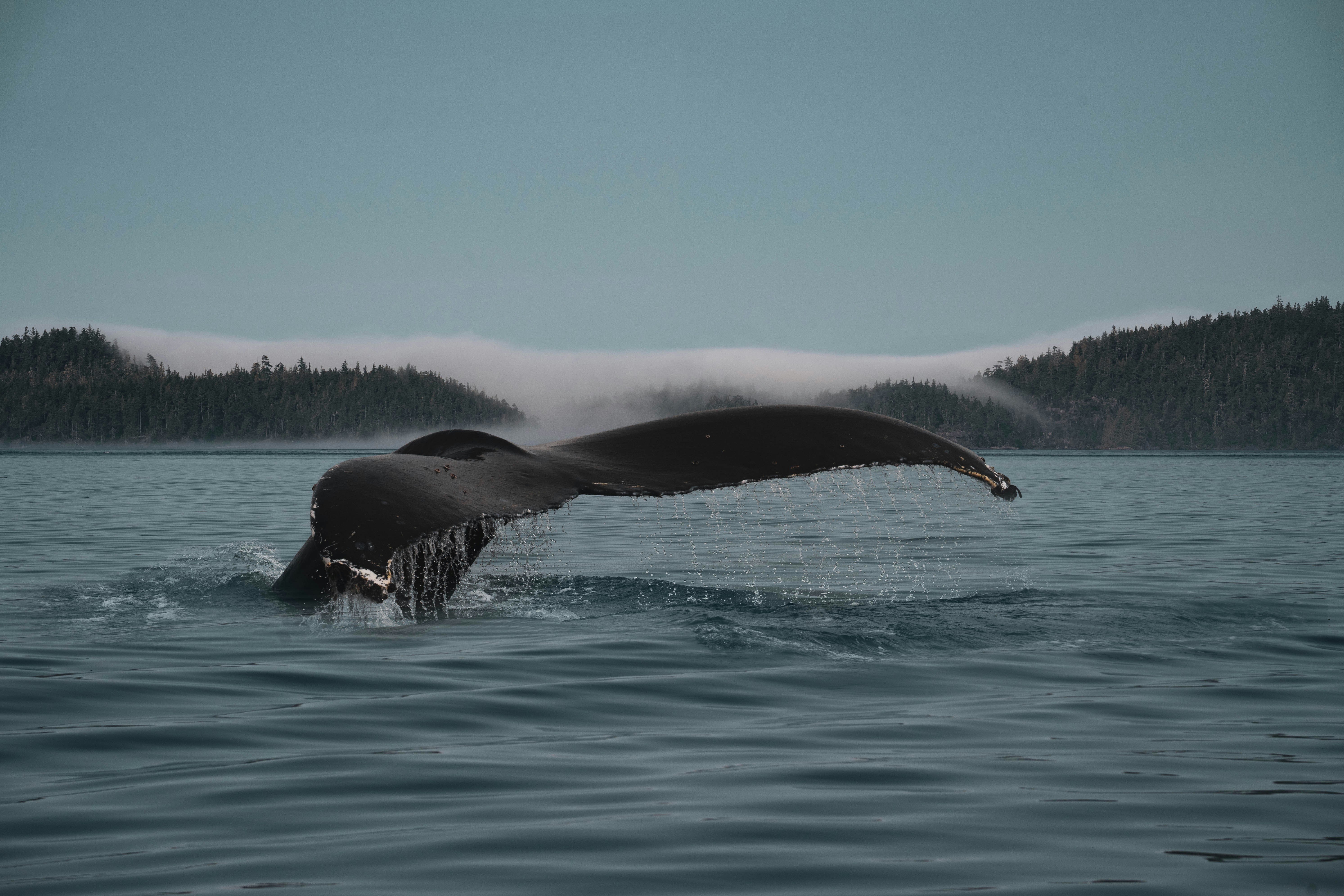 Why It Matters (image credits: unsplash)