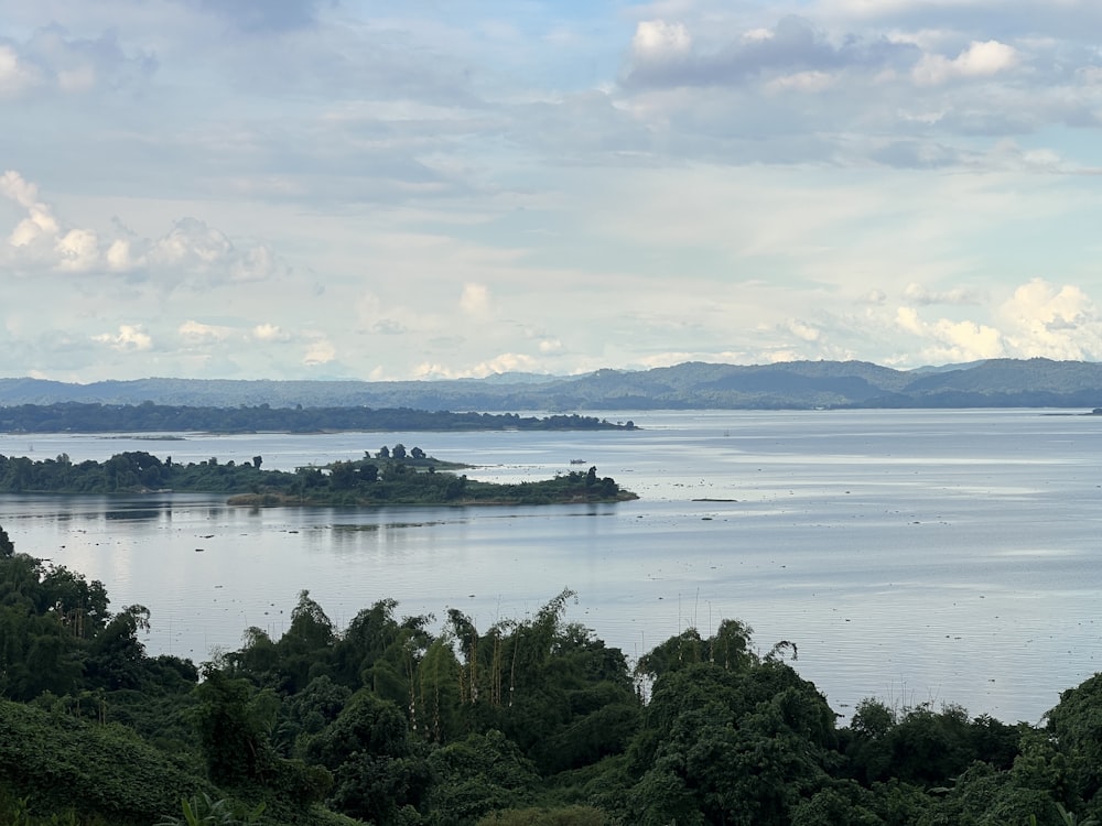 a large body of water surrounded by trees