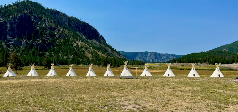 um grupo de tendas em um campo com montanhas ao fundo