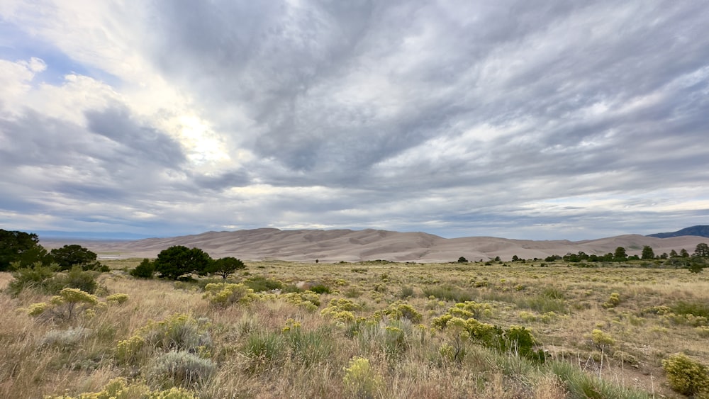 un campo cubierto de hierba con árboles y arbustos bajo un cielo nublado