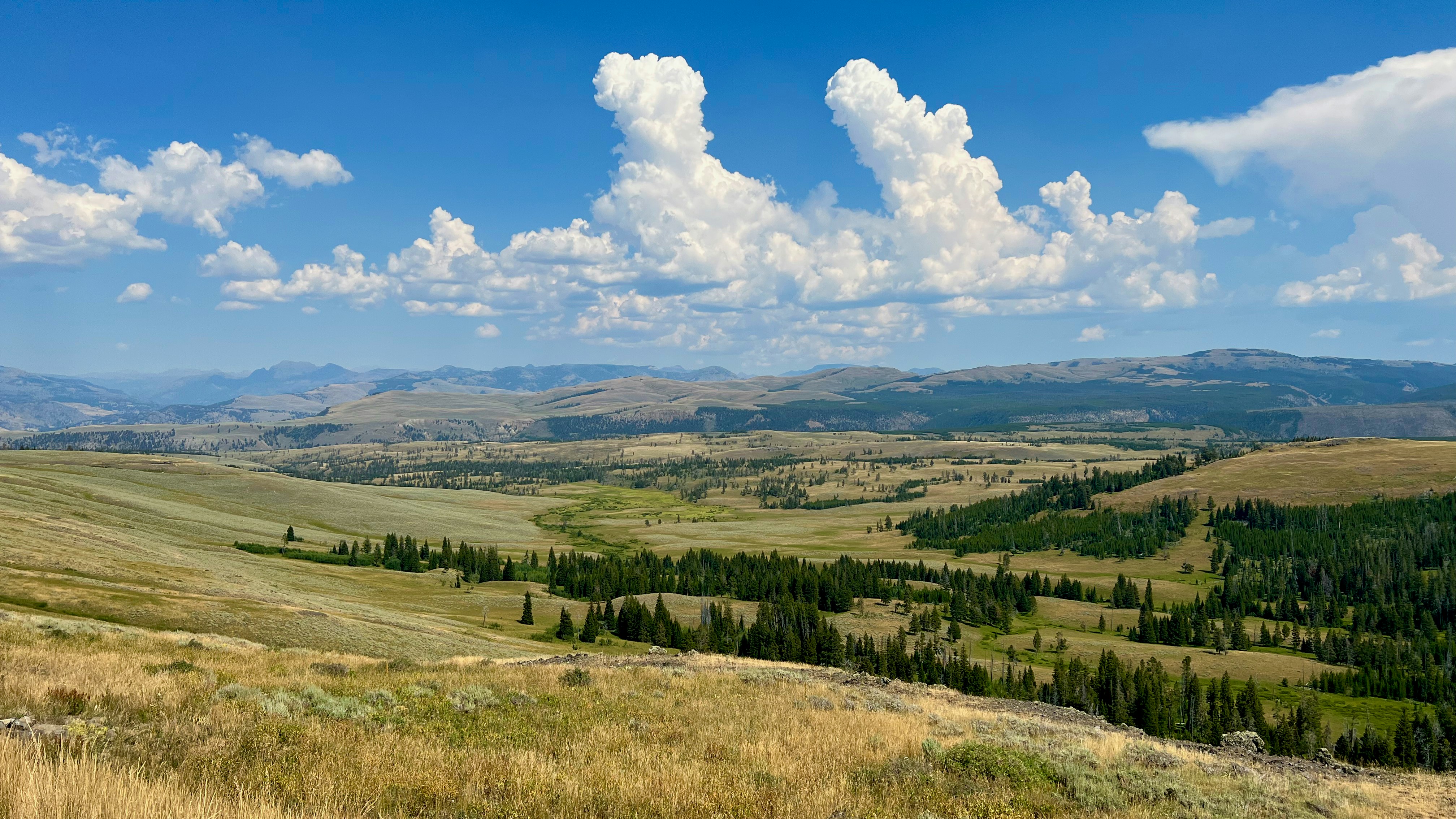 Photo by steve_barb_sande