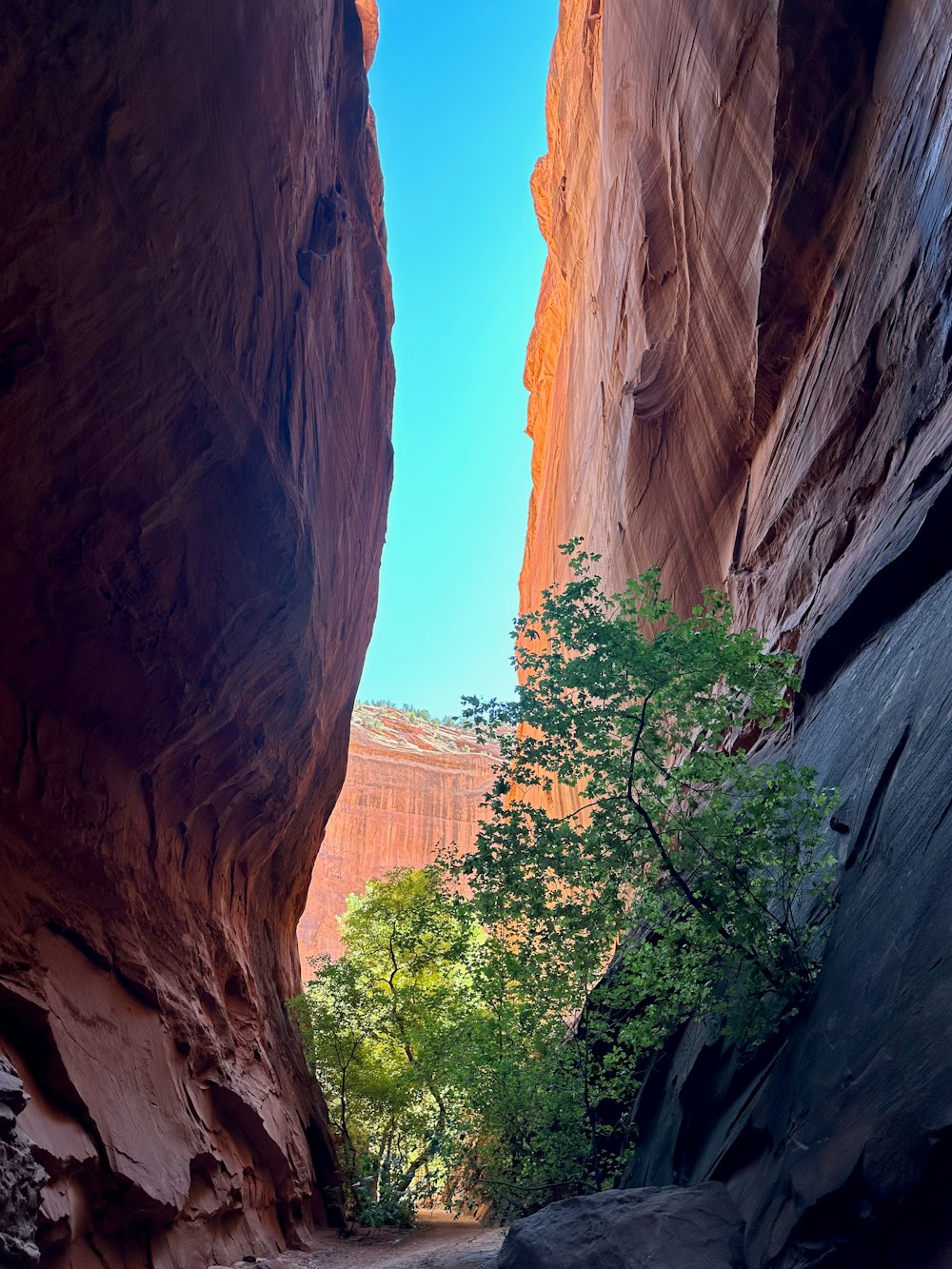 a narrow slot in the side of a mountain