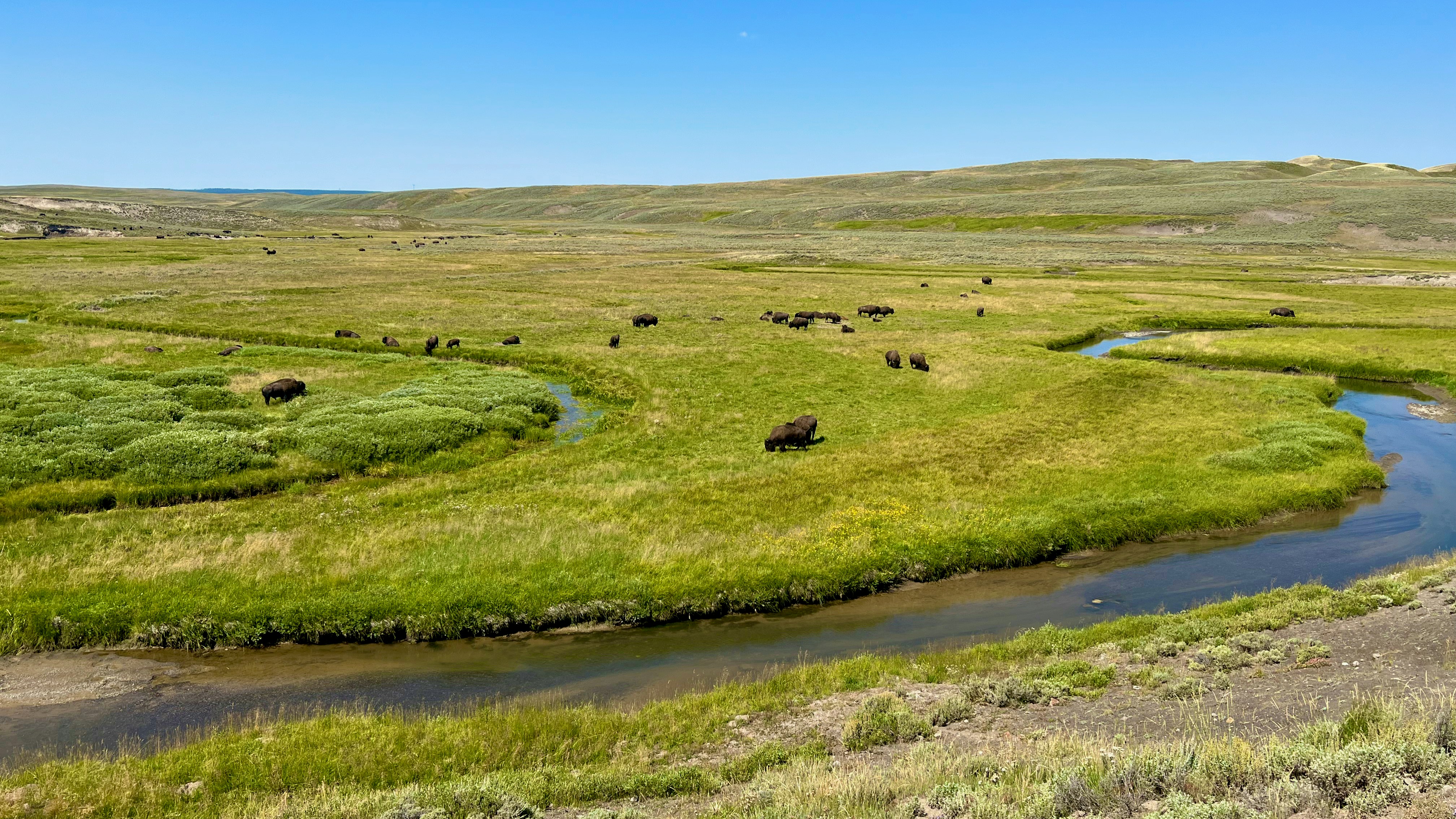 Photo by steve_barb_sande