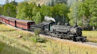 An old-fashioned steam locomotive travels along a scenic wooded area, surrounded by lush green trees. The black engine leads a series of red passenger cars. A small plume of white steam is visible coming from the engine, hinting at movement.