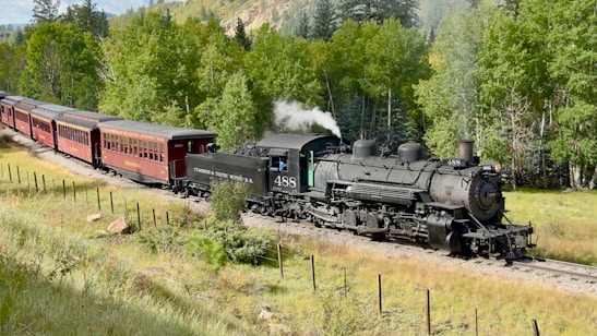 An old-fashioned steam locomotive travels along a scenic wooded area, surrounded by lush green trees. The black engine leads a series of red passenger cars. A small plume of white steam is visible coming from the engine, hinting at movement.
