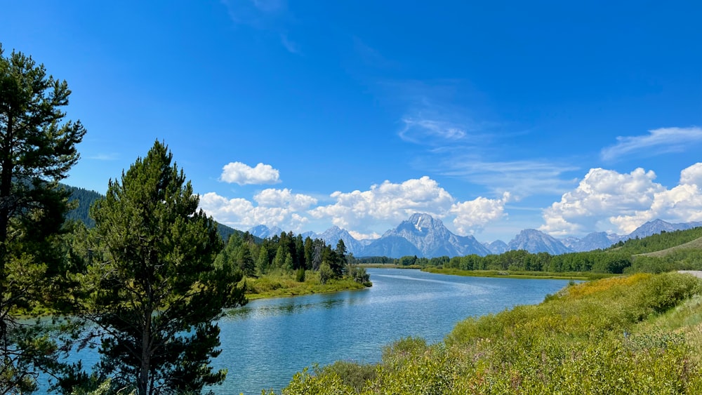 a lake surrounded by trees and mountains under a blue sky