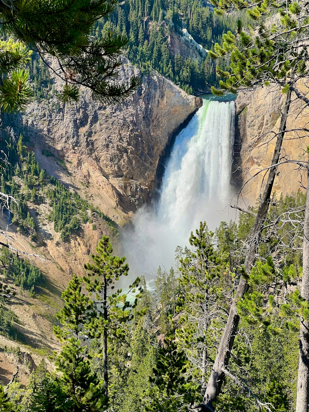 a large waterfall in the middle of a forest