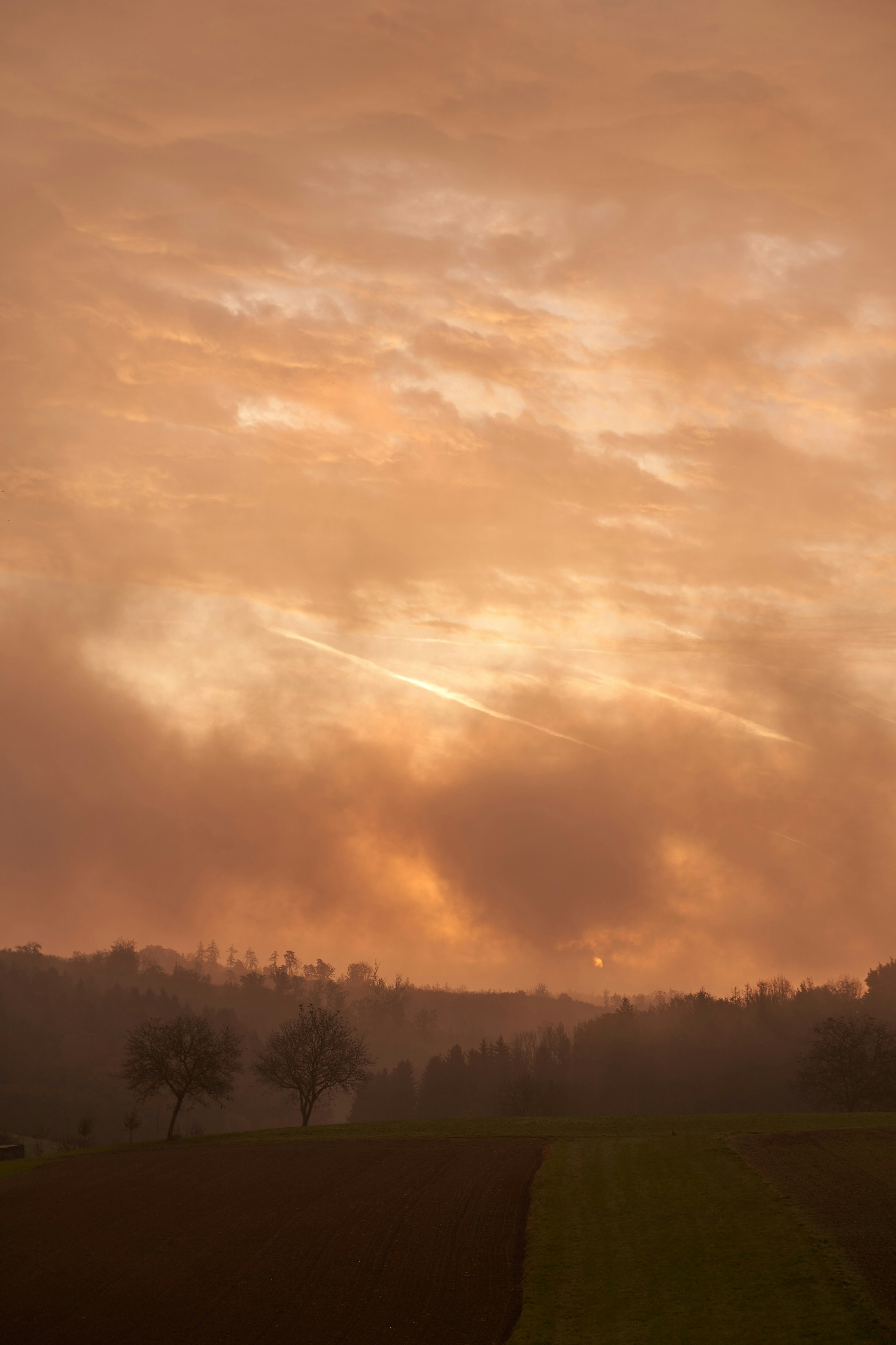 Photo by wolfgang_hasselmann