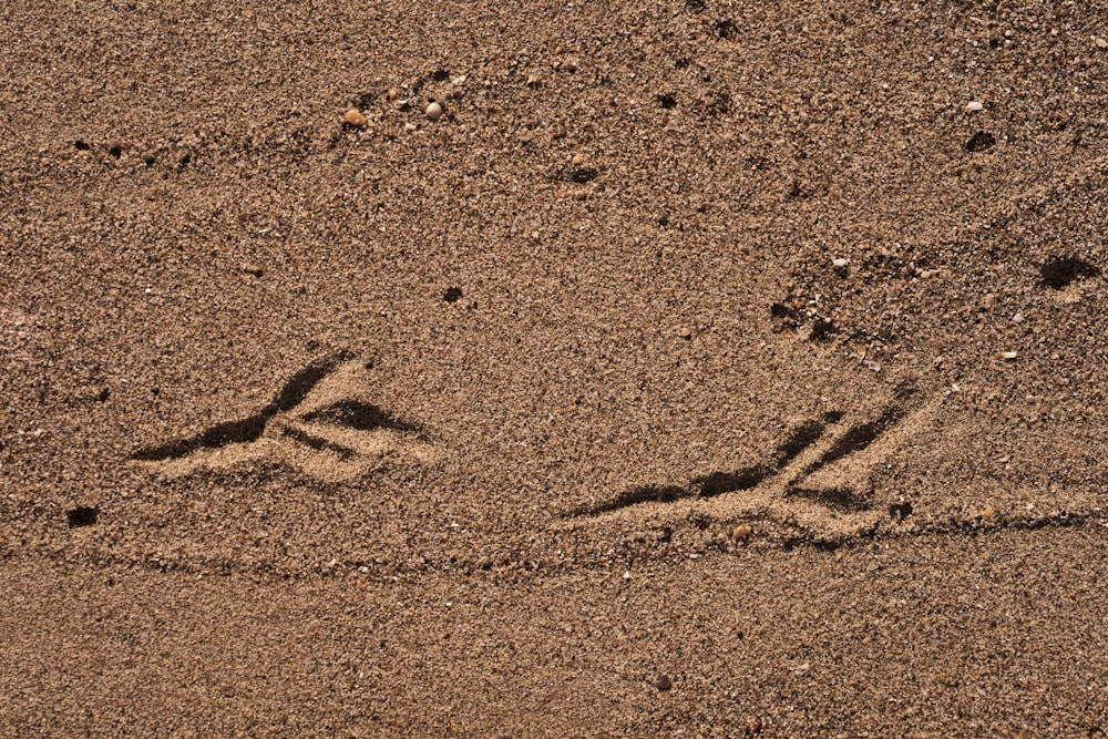 a picture of someone's hand and foot prints in the sand