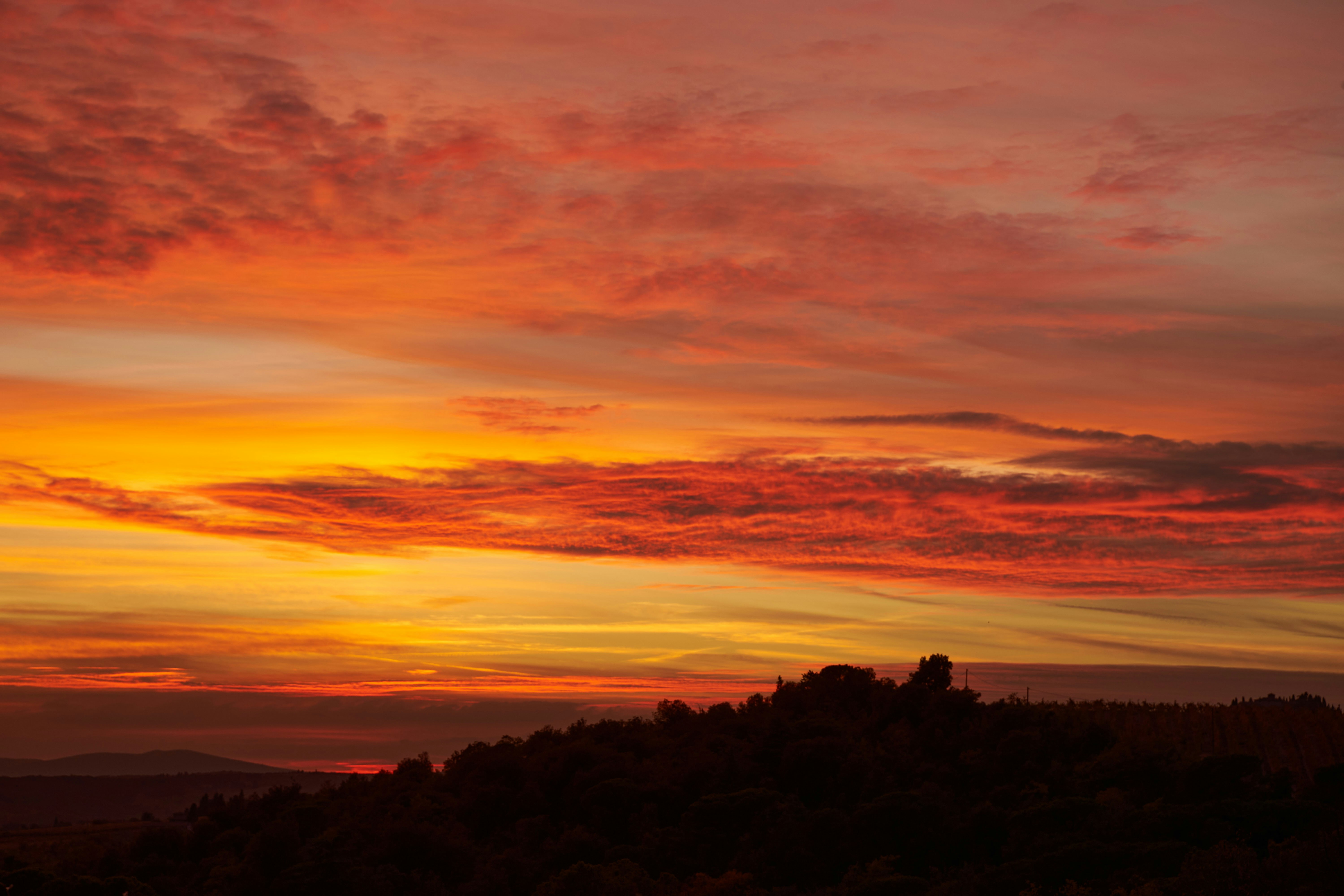 Photo by wolfgang_hasselmann