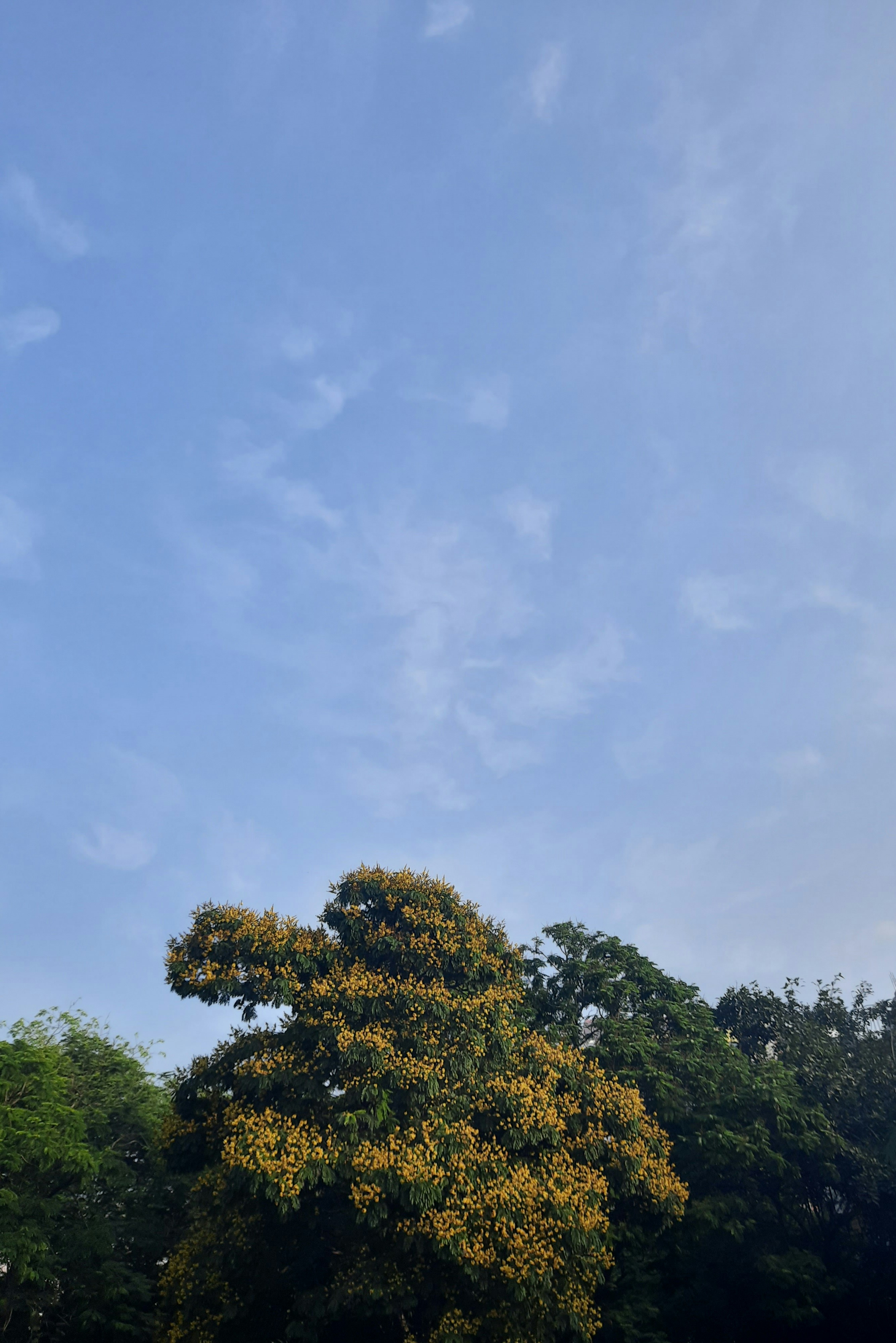 Photo by ayushiprakash