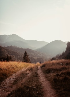 two people walking down a trail in the mountains