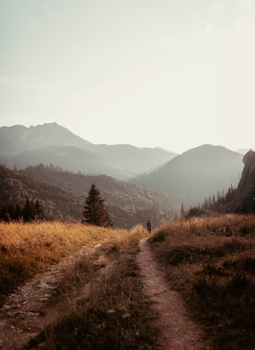 two people walking down a trail in the mountains