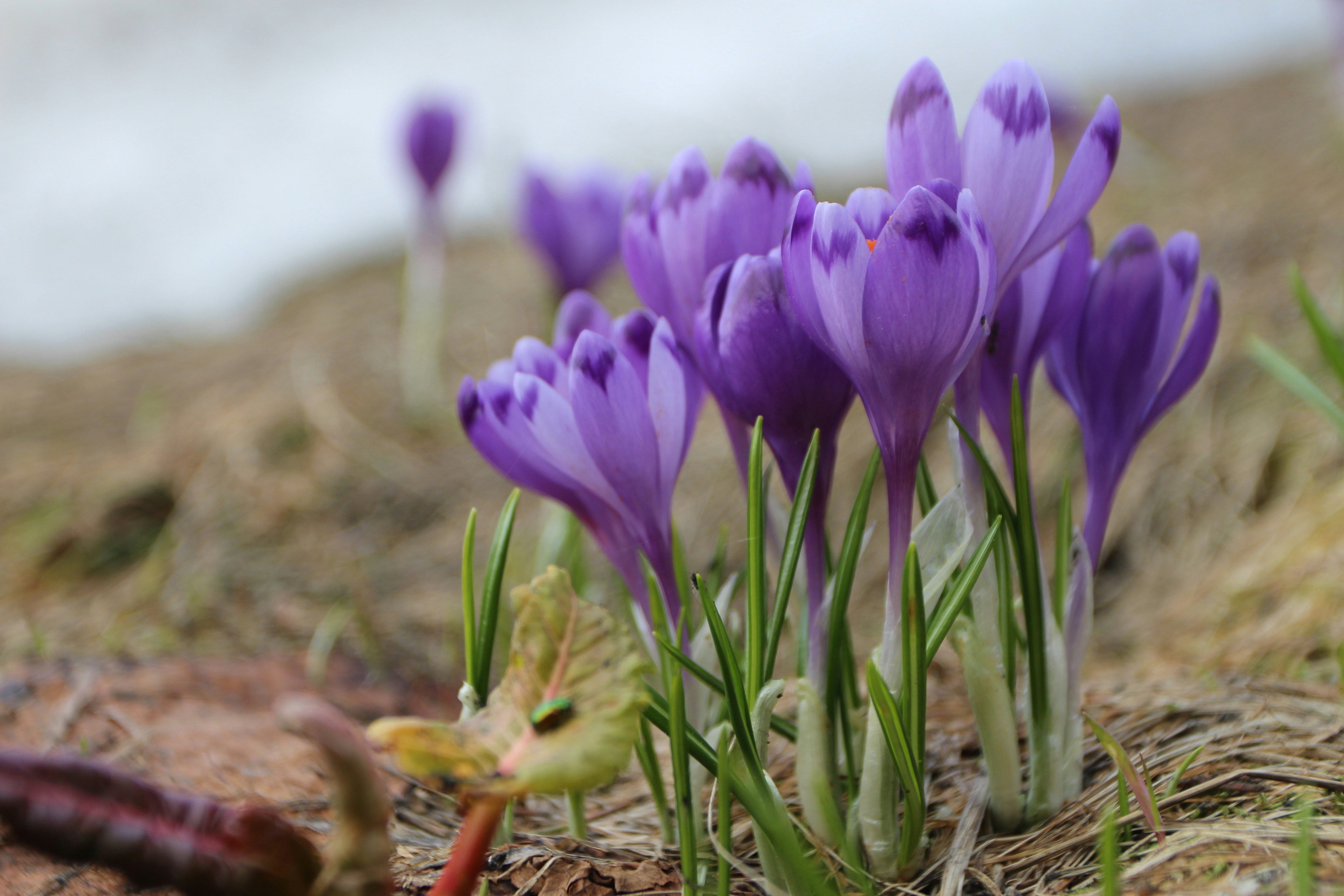 Photo by tetiana_chervenko