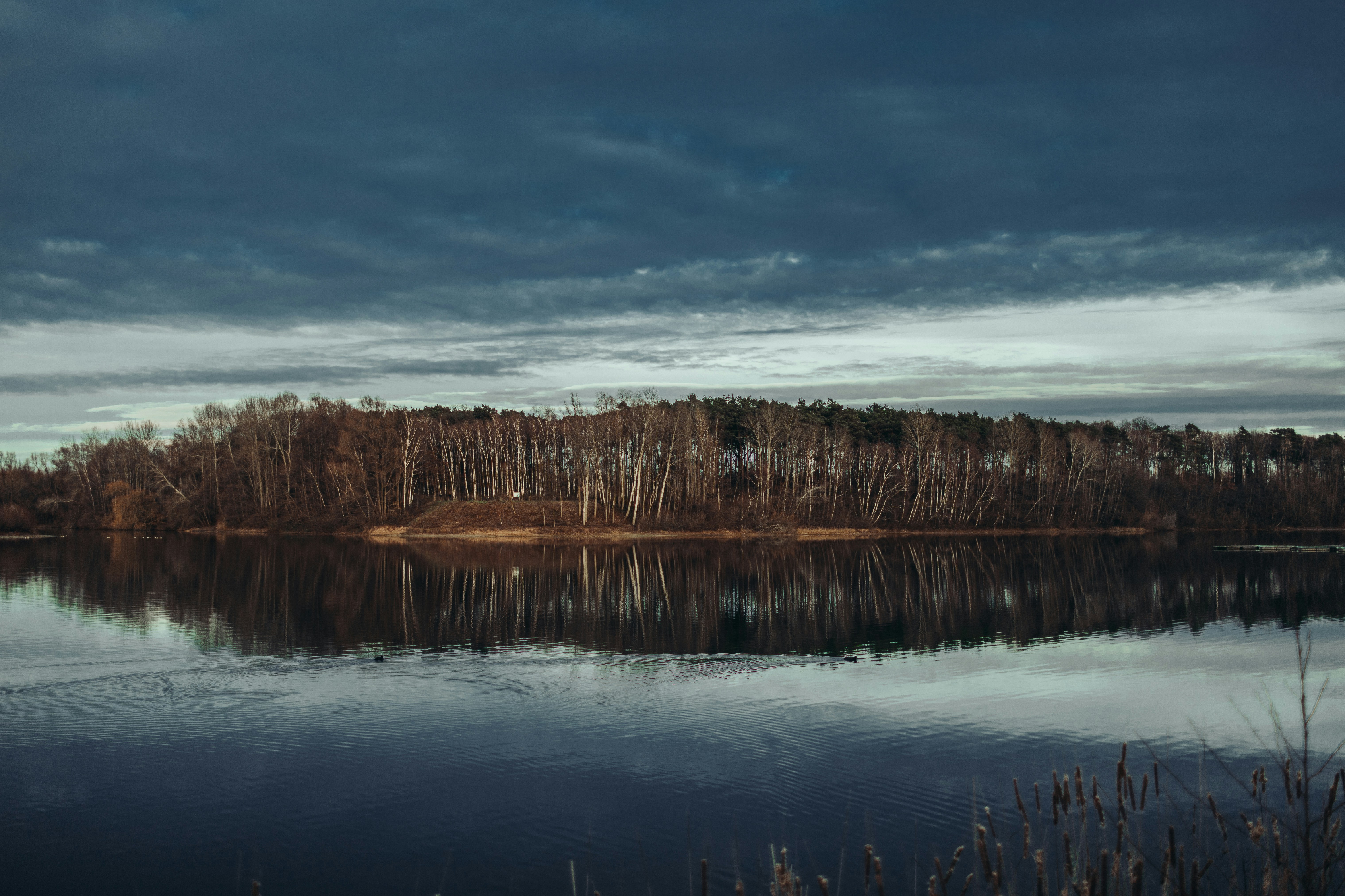 Photo by annaacurcan