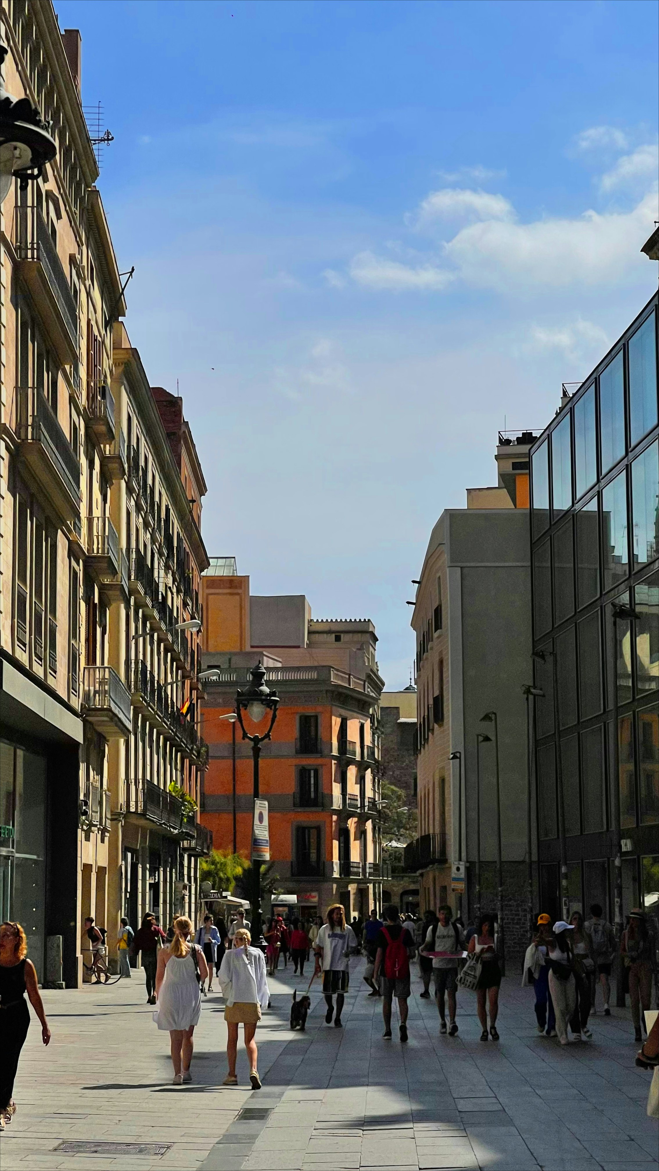 Photo by alexsanderbarhon