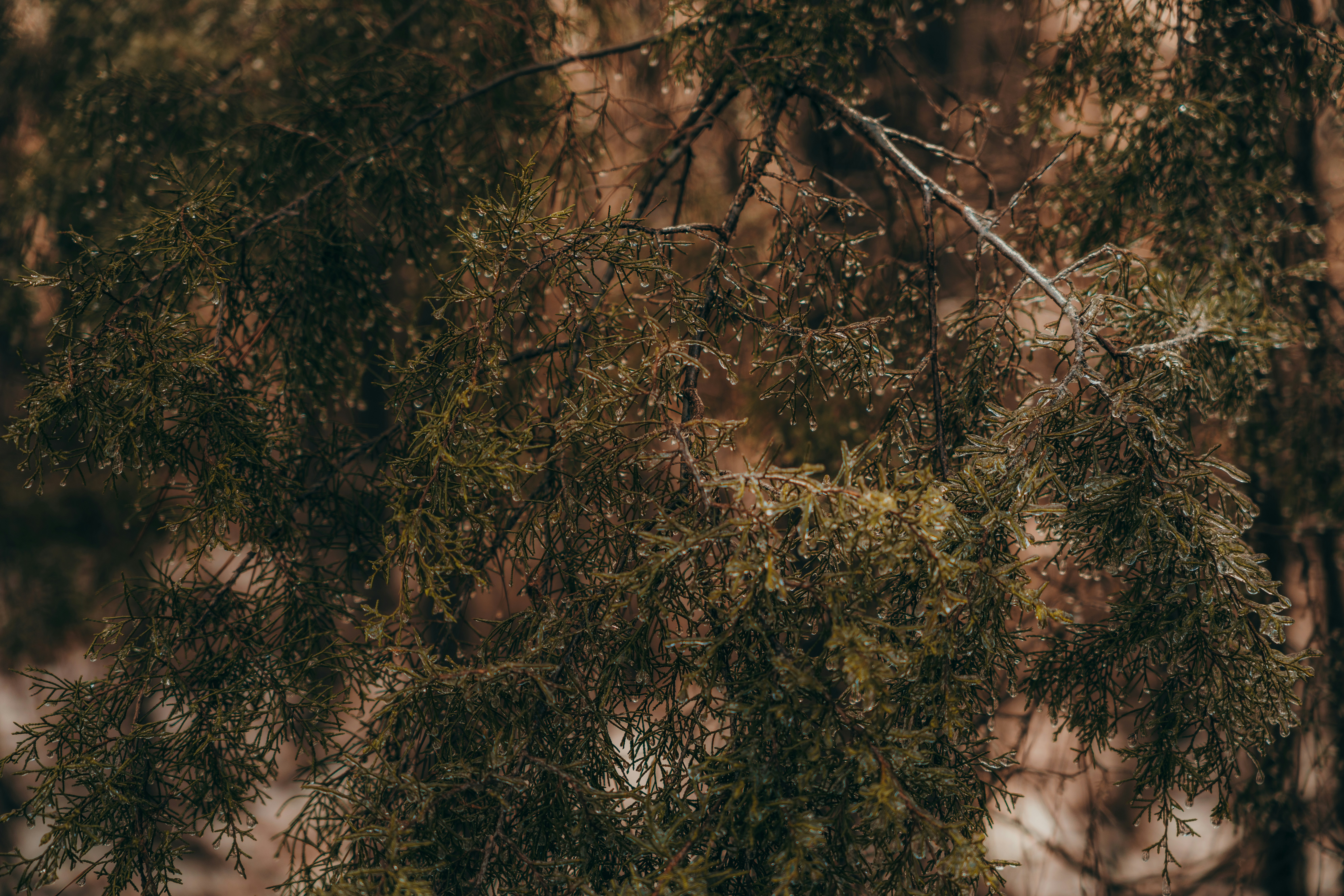 Photo by colemangloverphotography