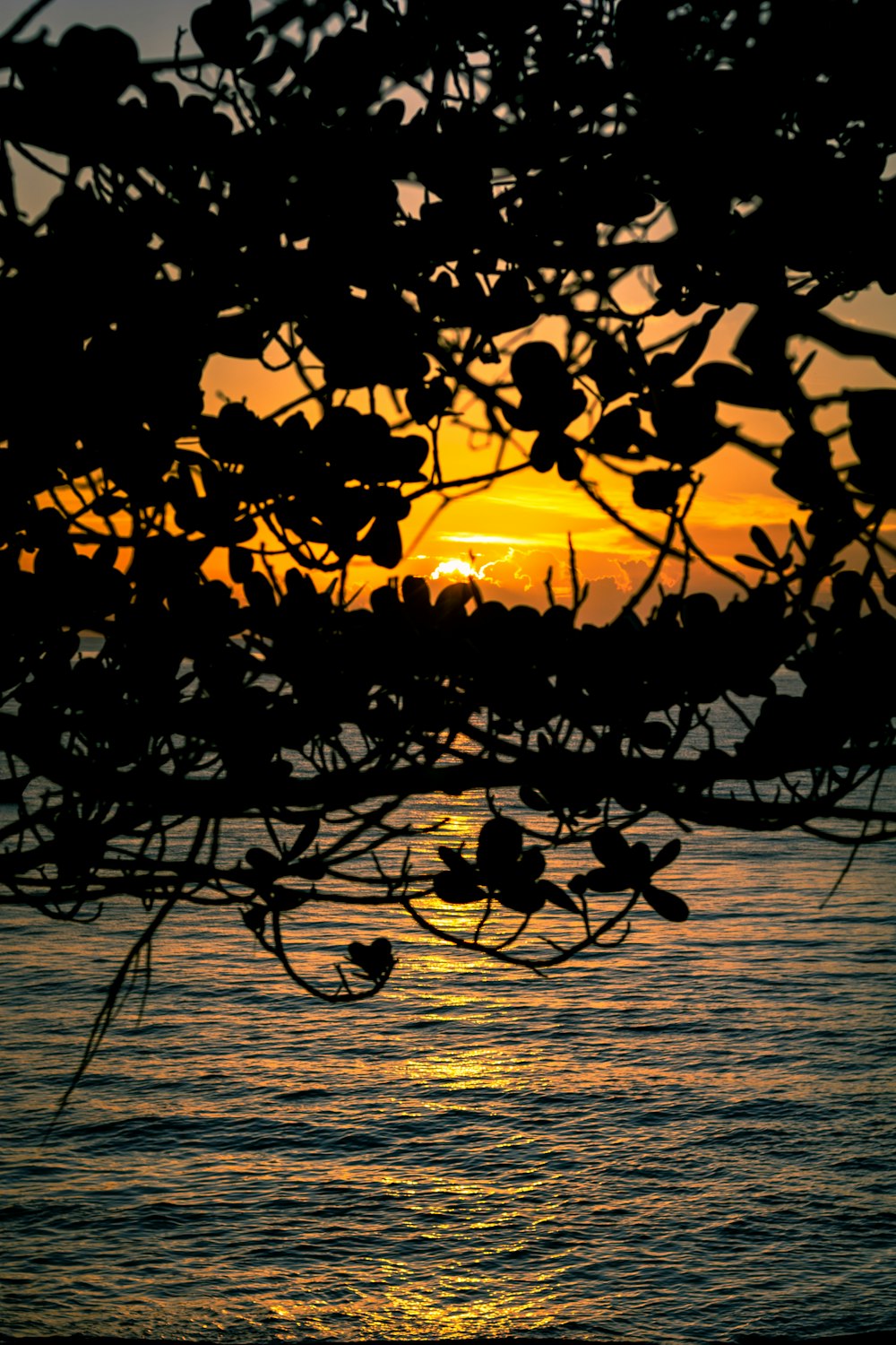 the sun is setting over a body of water